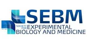 SEBM